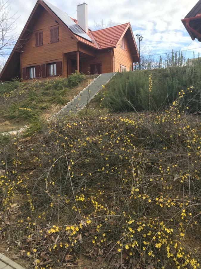 Boejti Pince Tormafolde Exterior foto